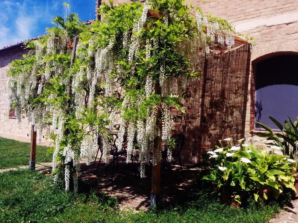 فيلا La Fornace Di San Galgano Frosini المظهر الخارجي الصورة